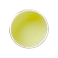 ingredientes_centenella-asiatica