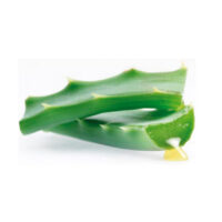 aloe-vera-gel